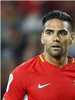 拉达梅尔·法尔考 Radamel Falcao