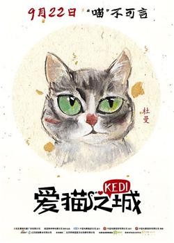 爱猫之城在线观看和下载