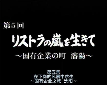 沈阳：公司改革的旋风在线观看和下载