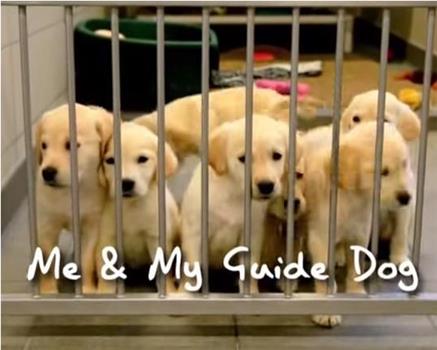 Me and My Guide Dog Season 1在线观看和下载