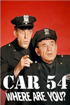 Car 54, Where Are You?在线观看和下载