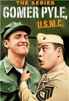 Gomer Pyle, U.S.M.C.在线观看和下载