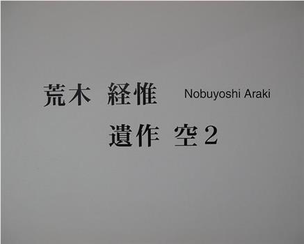 荒木経惟 Arakinema 遺作 空 2在线观看和下载