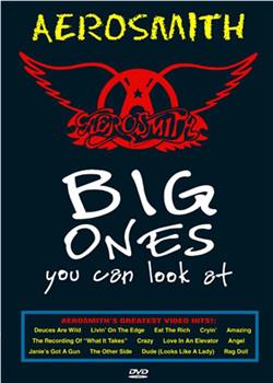 Aerosmith: Big Ones You Can Look at在线观看和下载