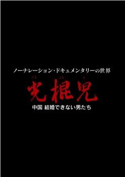 光棍儿：中国结不了婚的男人们在线观看和下载