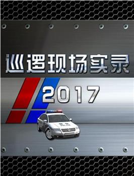 巡逻现场实录2017在线观看和下载