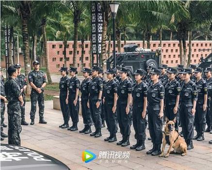 女特警在线观看和下载