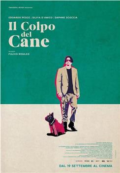 Il colpo del cane在线观看和下载