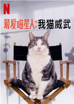 最爱喵星人：我猫威武在线观看和下载