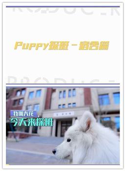 偶像练习生之PUPPY探班在线观看和下载