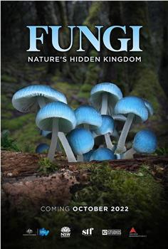 Fungi: The Web of Life在线观看和下载