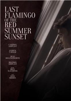 Last Flamingo of the Red Summer Sunset在线观看和下载