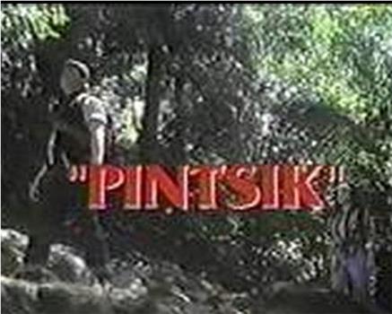 Pintsik在线观看和下载