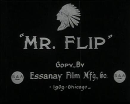 Mr. Flip在线观看和下载