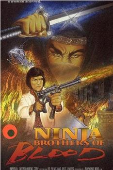 Ninja Knight Brothers of Blood在线观看和下载