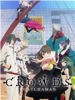 科学小飞侠Crowds