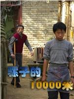 骡子的10000米