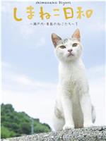 俺是猫，欢迎来俺家玩