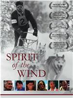 Spirit of the Wind