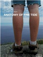 Anatomy of the Tide