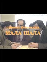 Mala sala