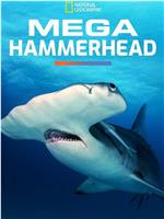 Mega Hammerhead